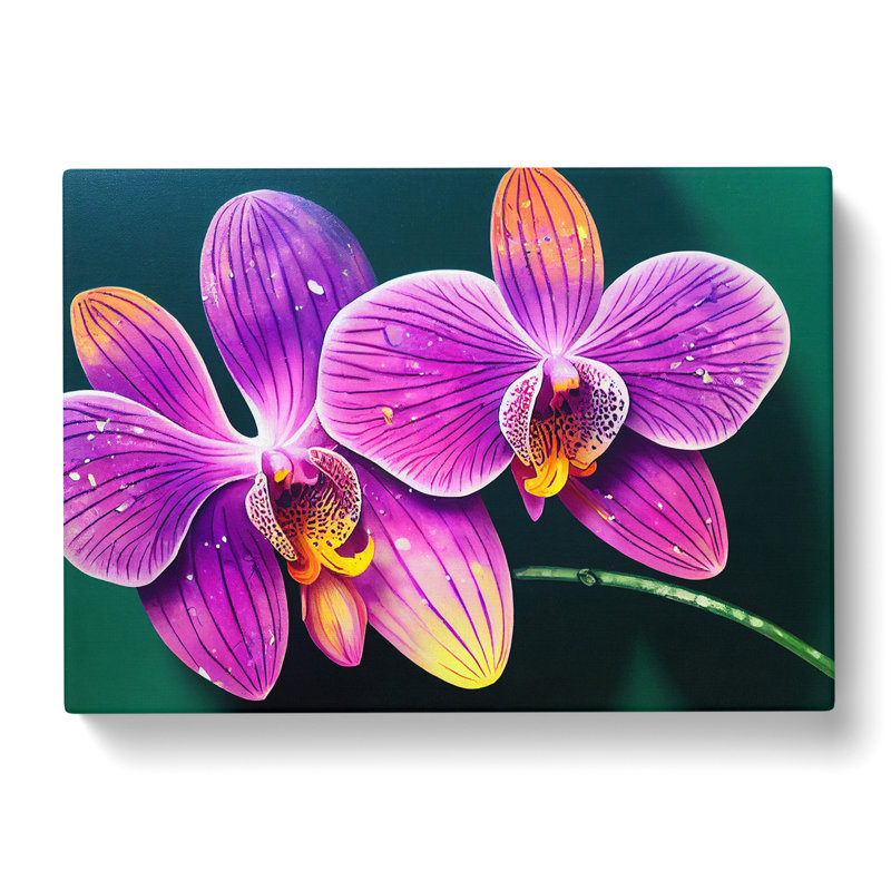 Seductive Orchid Flowers - Wrapped Canvas, 35cm H x 50cm W x 3cm D