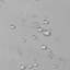 Rideau de douche en tissu hydrofuge-1121905021-1155398560