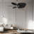 Alessandra - Five Blade Ceiling Fan-880970969-880970925