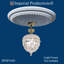 Médaillon de plafond