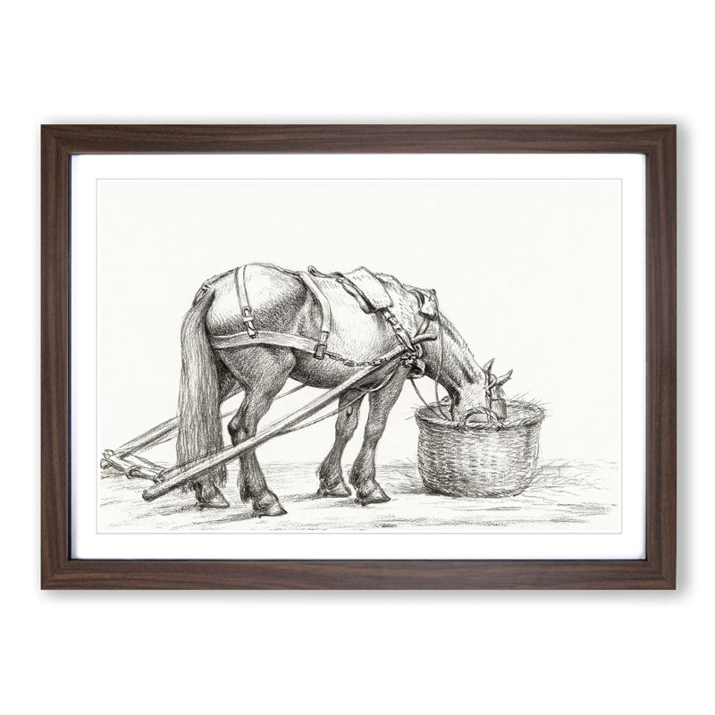 Horse Drinking by Jean Bernard - Picture Frame Drawing Print, 36cm H x 48cm W x 2cm D, Walnut Framed