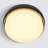 Acrylic 14'' Drum 3-CCT LED Black with Gold Accent Ring Flush Mount Ceiling Light