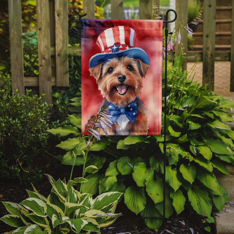 Drapeau patriotique du jardin américain, Norfolk Terrier