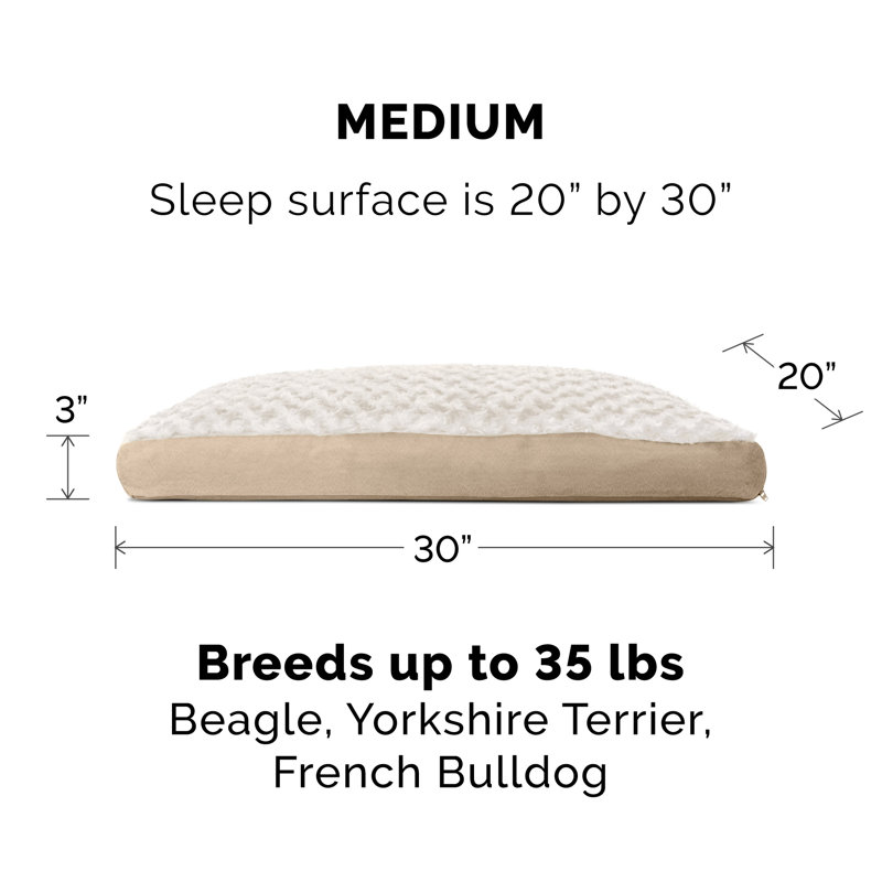 Ultra Plush Deluxe Fiber Pillow Pet Bed, Medium (30" W x 20" D x 3" H), Cream