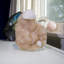 Scolécite sur cristal Stilbite rose