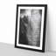 Mighty Elephant in the Shadows - Picture Frame Painting Print-56737804-56737810