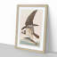Osprey by John Audubon - Picture Frame Painting Print-55577948-55577951