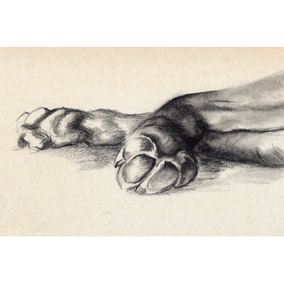 " Charcoal Paws I " by Jennifer Paxton Parker