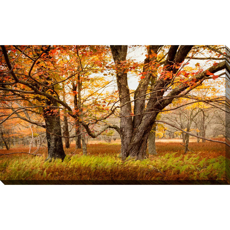 «Crossing Paths», reproduction de photo, H 18 po x l 30 po x P 1 po, Toile tendue