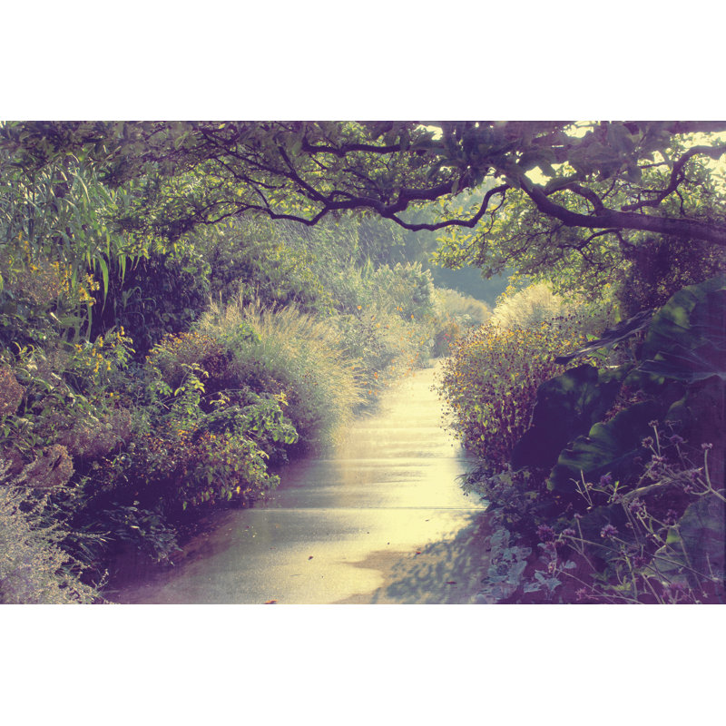 Nature Stream 2 - Wrapped Canvas Print, 30cm H x 46cm W x 3.8cm D
