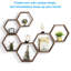 Millersville Floating Shelf