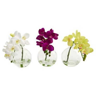 Phalaenopsis-orchidée de la pièce maîtresse en vase
