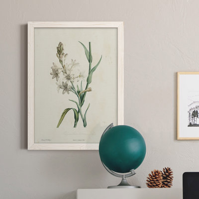 Toile encadrée de qualité supérieure Traditional Botanical IV - prête à être accrochée