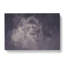 Lion In The Mist In Abstract - Wrapped Canvas-55311278