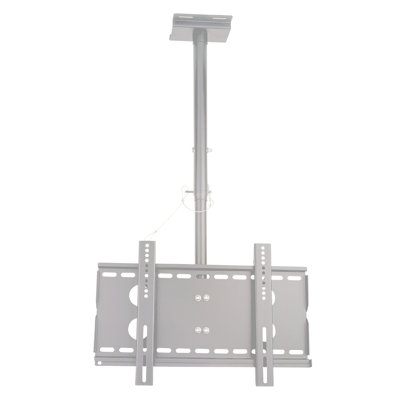 Homevision Technology Single Screen Ceiling Mount
