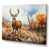 Toile tendue