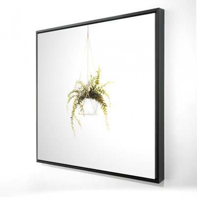 " Suspended Fern "