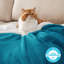 Bedsure Soft Sherpa Fleece Throw Blanket-1928280635-1928524793