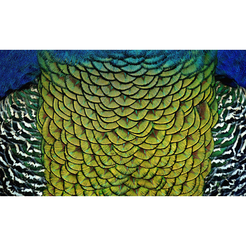 Wonderful Life 011 - No Frame Rectangle Print on Metal, 70cm H x 118cm W 