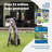 PetSafe® Wireless Fence Pet Containment System