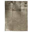 Area Rug in Gray