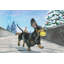 Sporty Daschund by Eyre Tarney - Wrapped Canvas Painting-1680713183