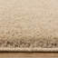 Ronalee Recycled P.E.T Machine Tufted Shag Area Rug-1001748521-1000676586