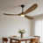 Light Walnut