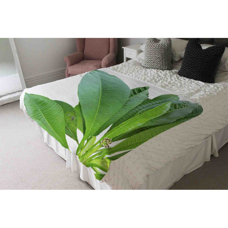 Miyanah Blanket