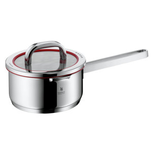 https://assets.wfcdn.com/im/78541777/resize-h310-w310%5Ecompr-r85/2470/247018646/Function+4+Stainless+Steel+Saucepan+with+Lid.jpg