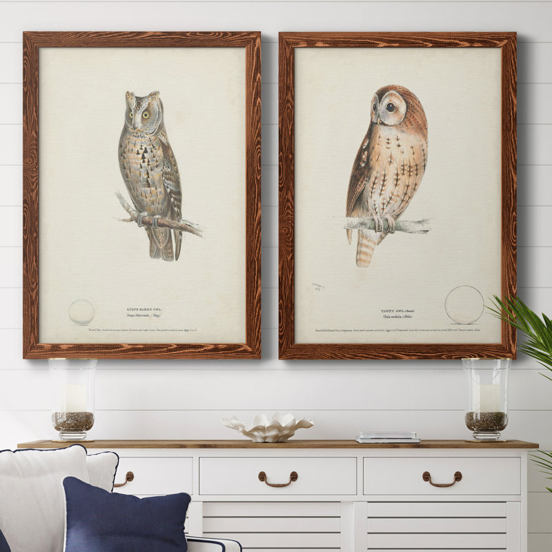 Scops - Eared Owl - Reproduction d'art graphique encadré, Toile encadrée noyer, H 24 po x l 36 po x P 1,5 po