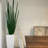 Pot Planter