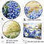 «Blue Bonnets Farmhouse Still Life - Blue Bonnets», ensemble d'art mural-107739775-107739774