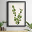 Botanical Wash III - Impression de cadre photo sur papier-1989108938-1989108930