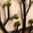 Tree Napkin Holder, Black Metal Branch Stand with Leaf and Berry Accents and Stable Round Wooden Base