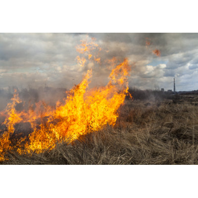 Fire In The Field by Rootstocks - Wrapped Canvas Print