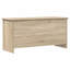 Rectangle Accent Chest-1537903459-1537903462