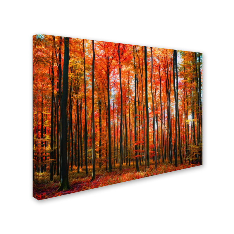 « domined » par philippe sainte-laudy, reproduction de photo sur toile tendue, H 14 po x l 19 po x P 2 po
