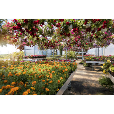 Garden Center by Sladic - No Frame Print on Canvas