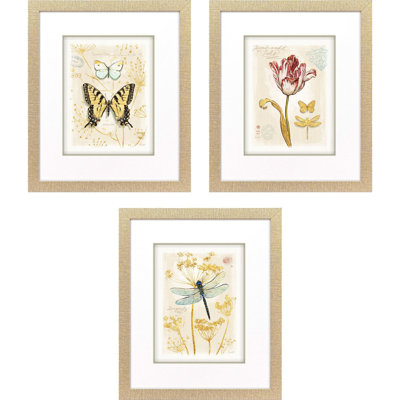 Nature's Wonder I Framed Art