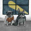 Four Legged Heroes - Wrapped Canvas Painting-1173993458
