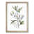 Oak Framed selected