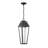 Brookline LED Outdoor Dark Sky Hanging Lantern in Matte Black