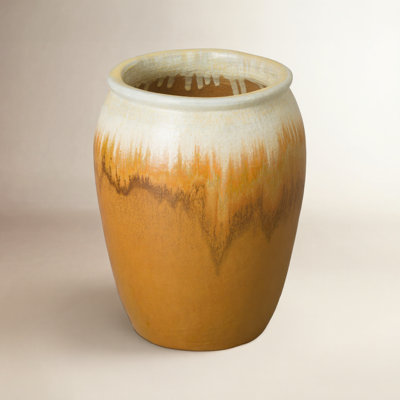 Proberta Ceramic Pot Planter