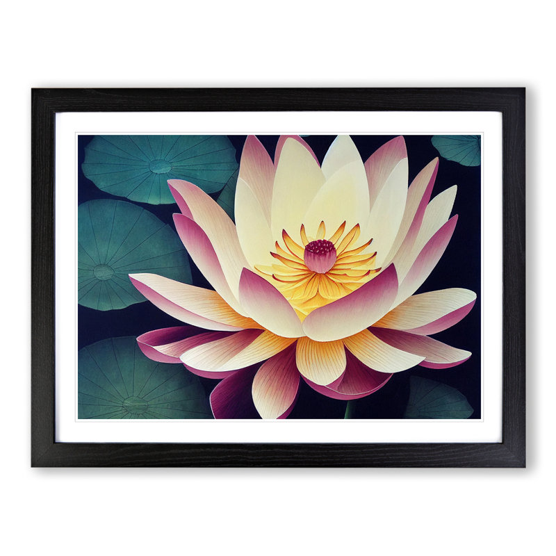 Pleasant Lotus Flower - Single Picture Frame Print, Black Framed, 25cm H x 34cm W x 2cm D