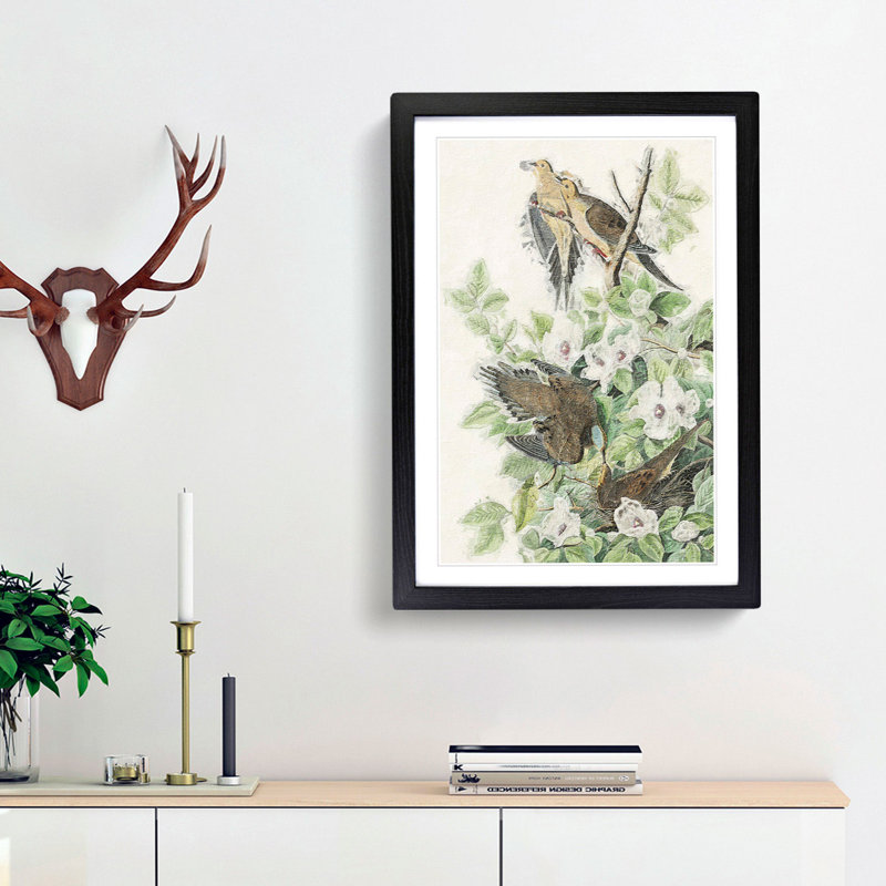 Carolina Pigeons by John Audubon - Picture Frame Painting Print, Black Framed, 36cm H x 27cm W x 2cm D