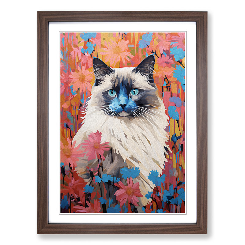 XYZ-FRM-V1223-5362 Ragdoll Cat Colour Field No.4 - Single Picture Frame Print on Wood, 46cm H x 34cm W x 2cm D, Walnut