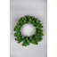 Faux Lighted PVC 21.65cm Christmas Wreath