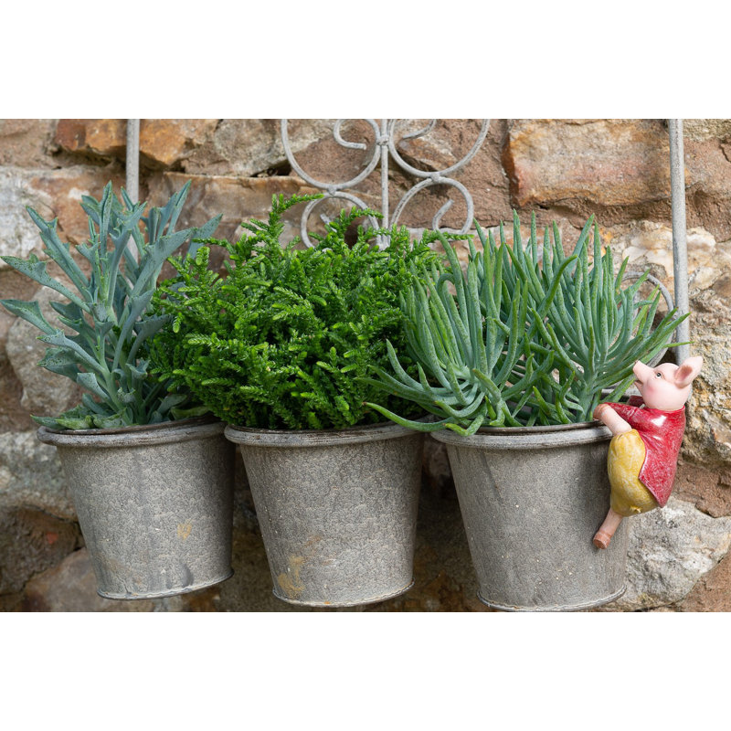 Cintre Beatrix Potter Pigling Bland Pot