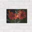 "Amaryllis" par Christopher Pierce-365790092